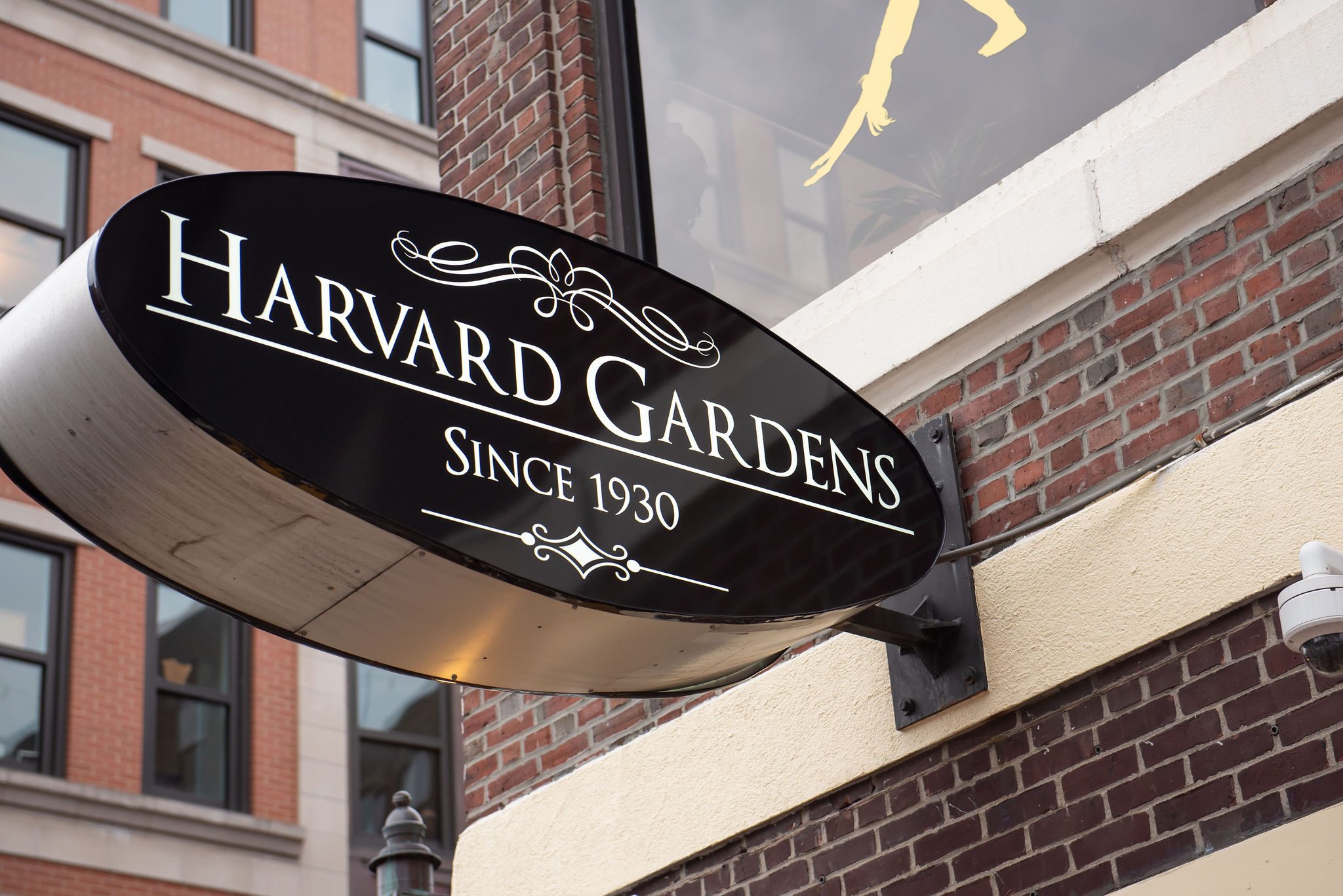 What's the Difference Between a Pub & Bar? | Harvard Gardens | Restaurant & Bar in Boston, MA