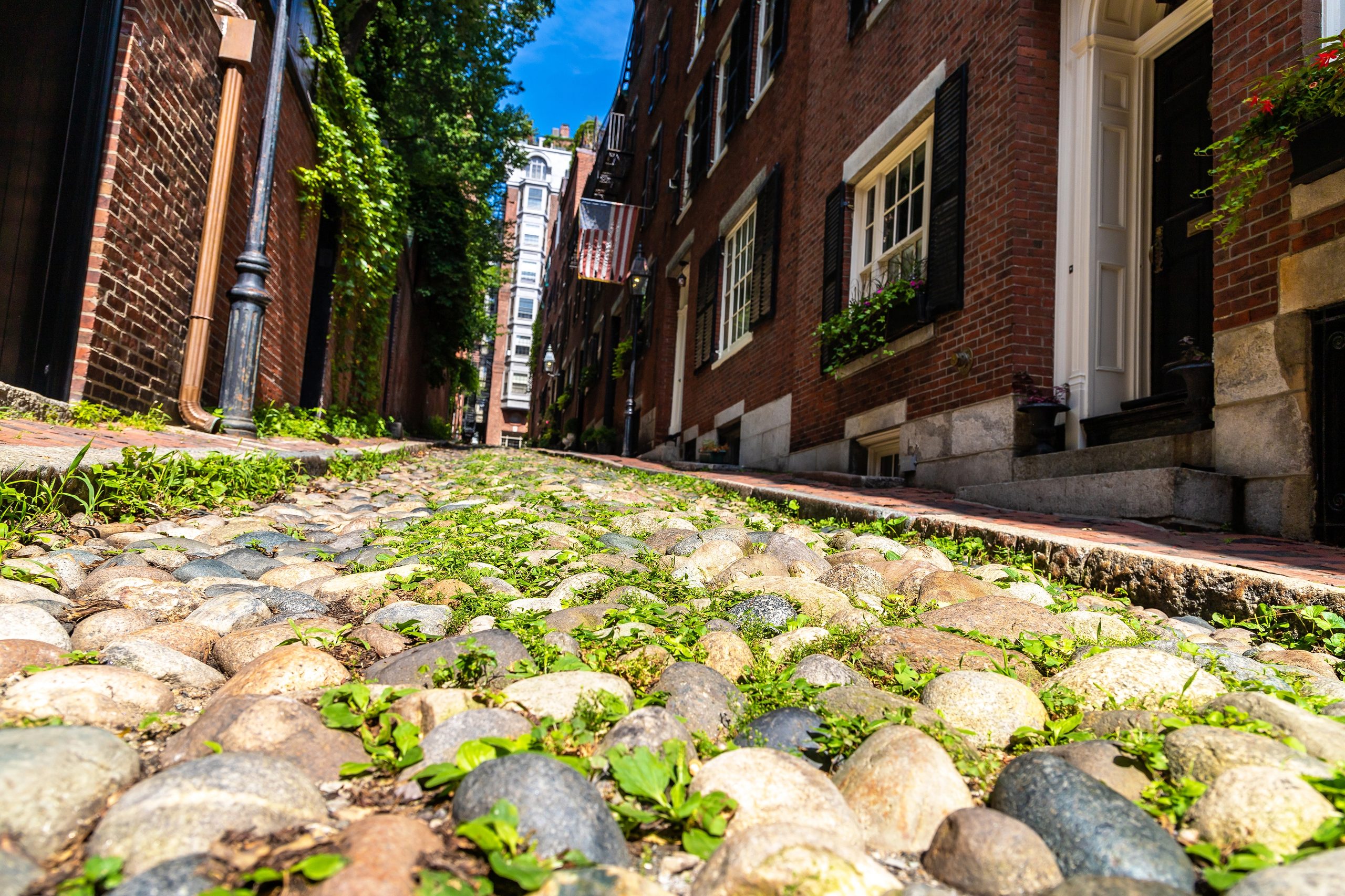 Dining in Beacon Hill During the Summer | Harvard Gardens