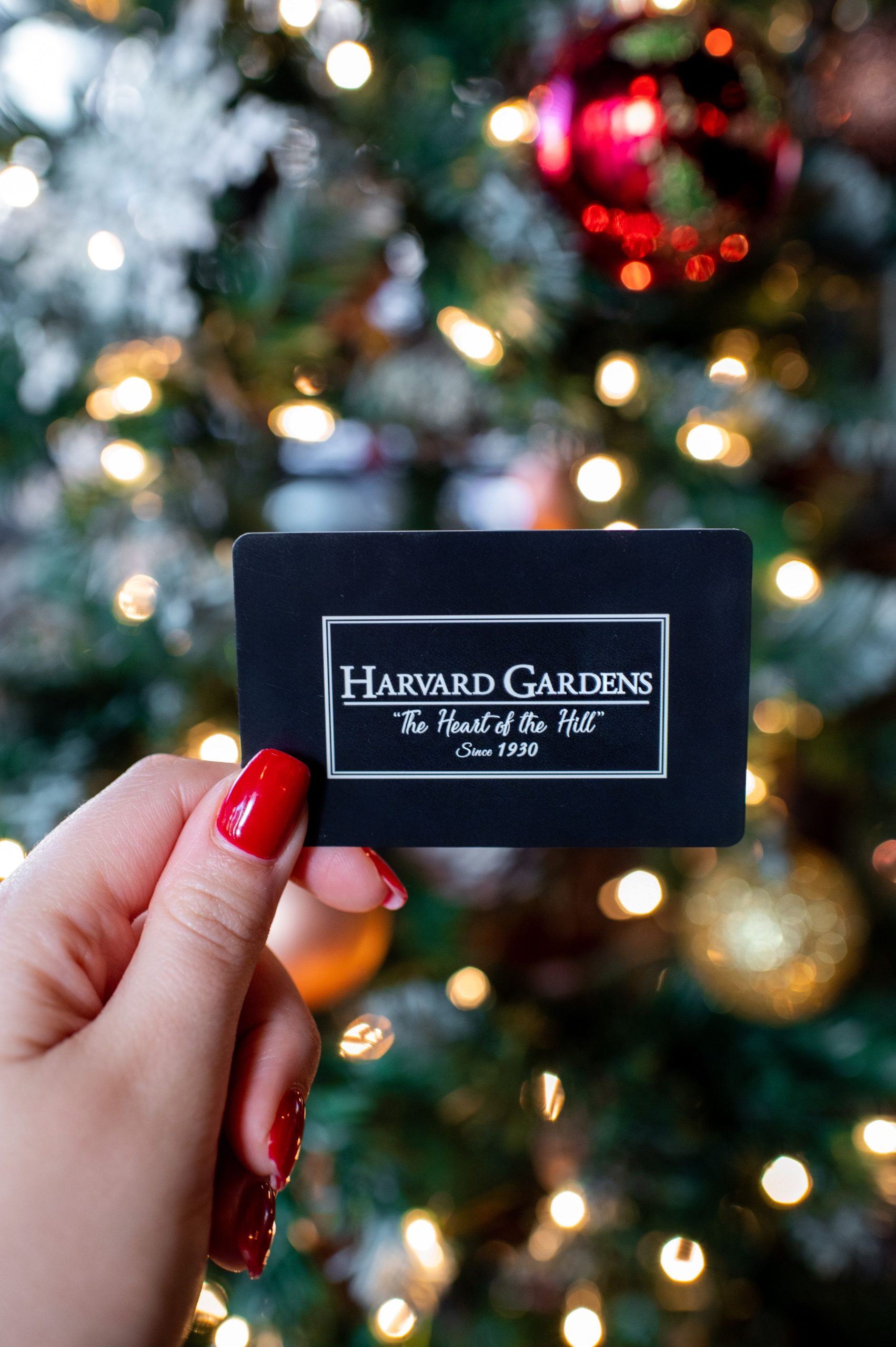 Where to Host an Event in Beacon Hill? | Harvard Gardens | Restaurant & Bar in Boston, MA