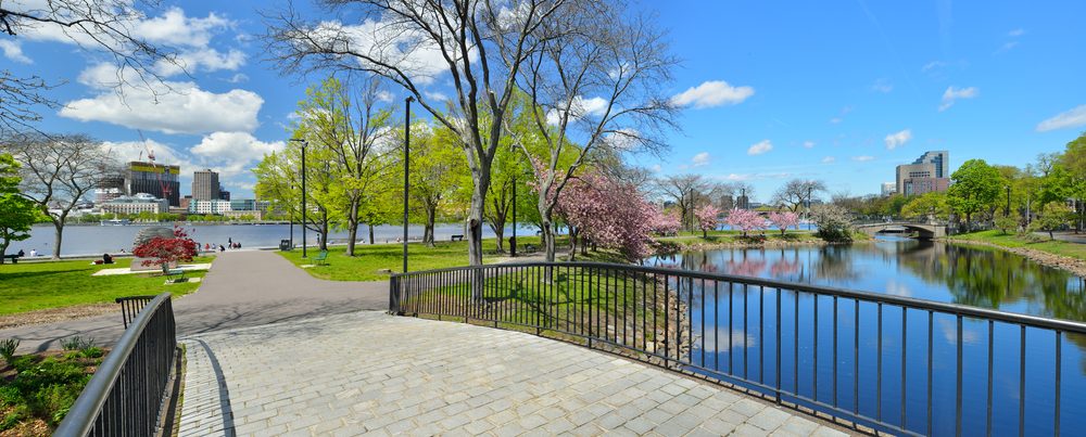 Activities to Do in Beacon Hill