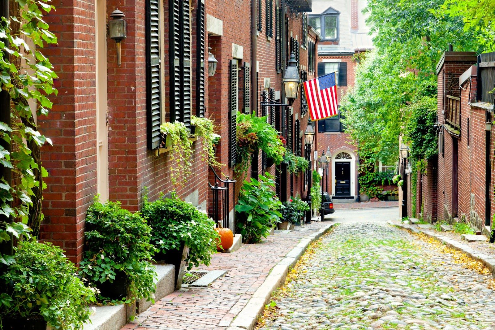 What To Do At Beacon Hill? | Harvard Gardens | Restaurant & Bar in Boston, MA